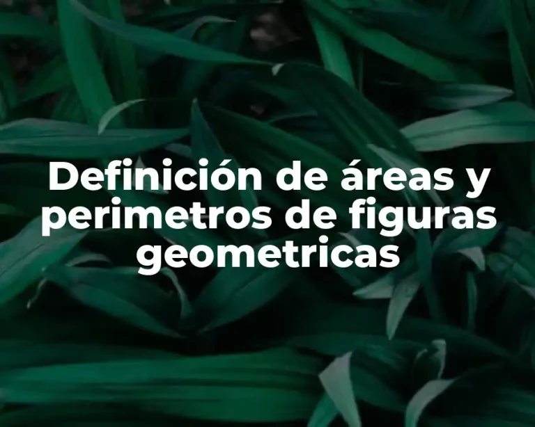 Definición de áreas y perimetros de figuras geometricas