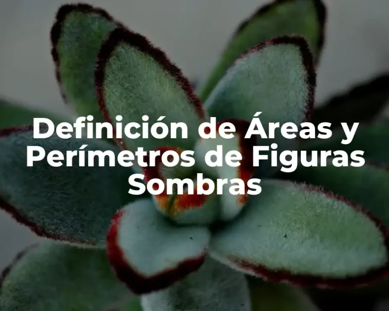 Definición de Áreas y Perímetros de Figuras Sombras