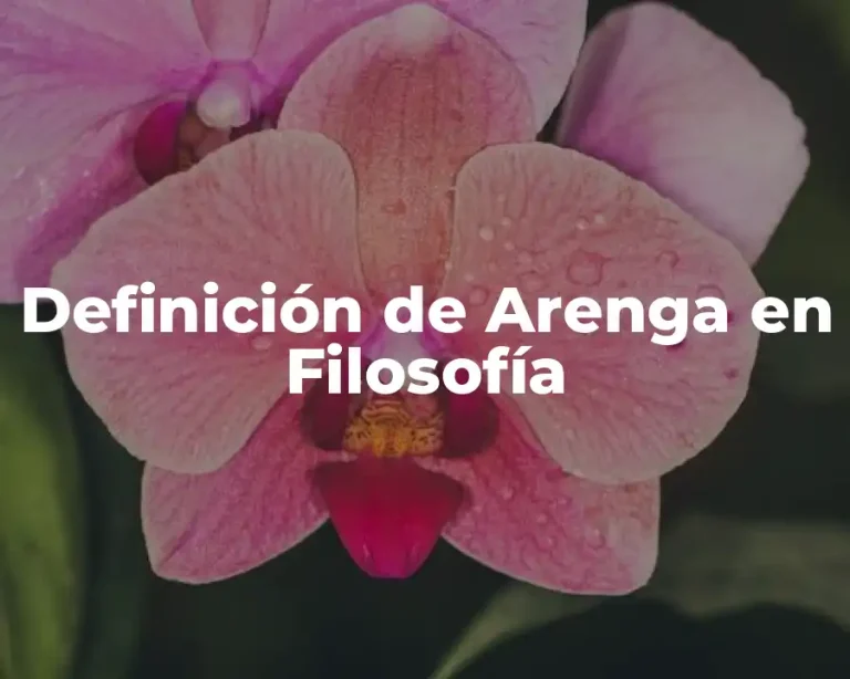 Definición de Arenga en Filosofía