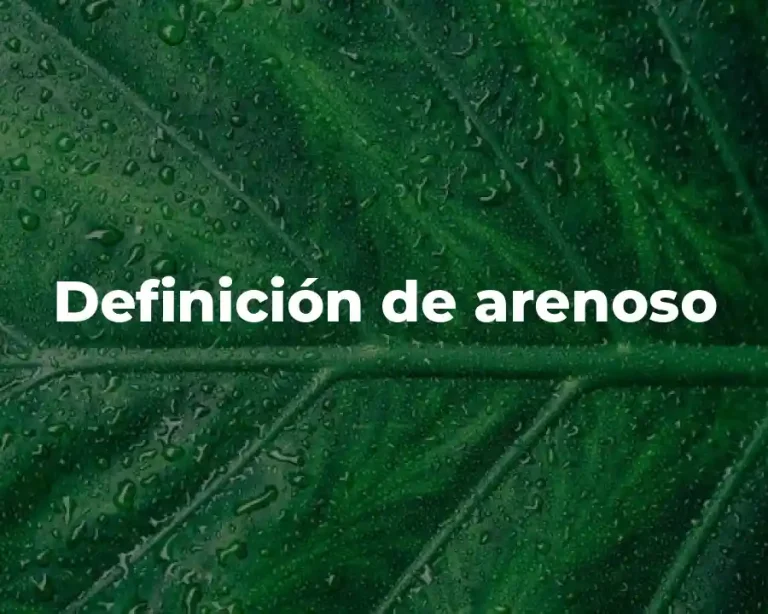 Definición de arenoso