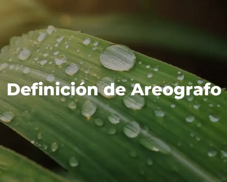 Definición de Areografo