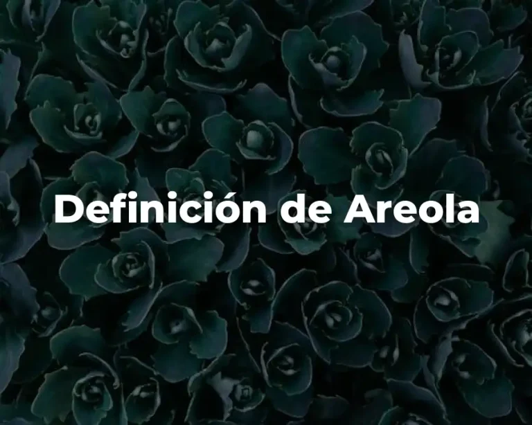 Definición de Areola