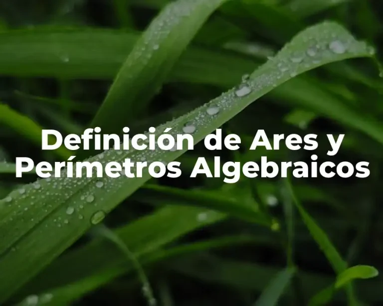 Definición de Ares y Perímetros Algebraicos