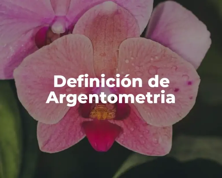 Definición de Argentometria