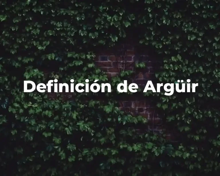 Definición de Argüir