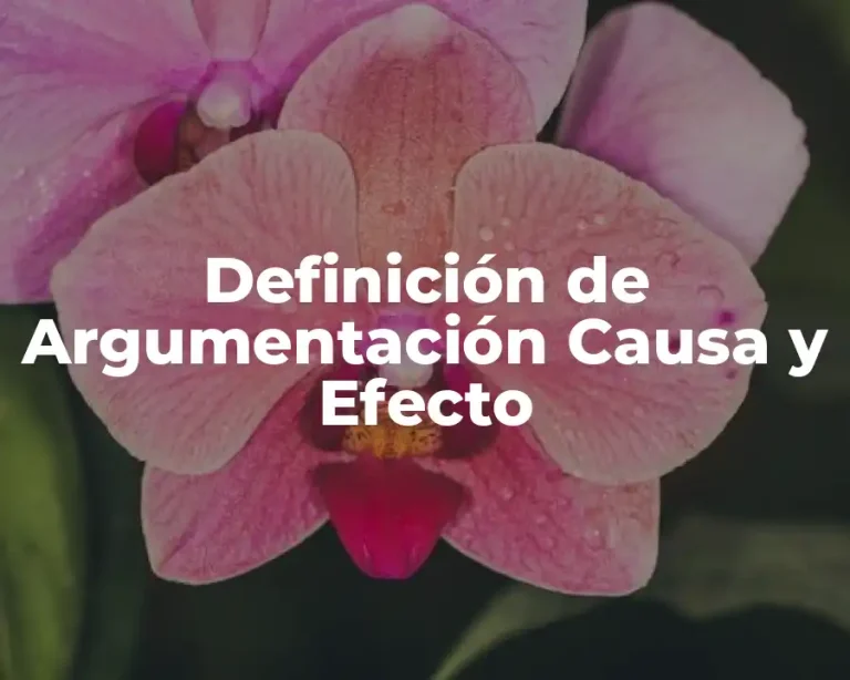 Definición de Argumentación Causa y Efecto