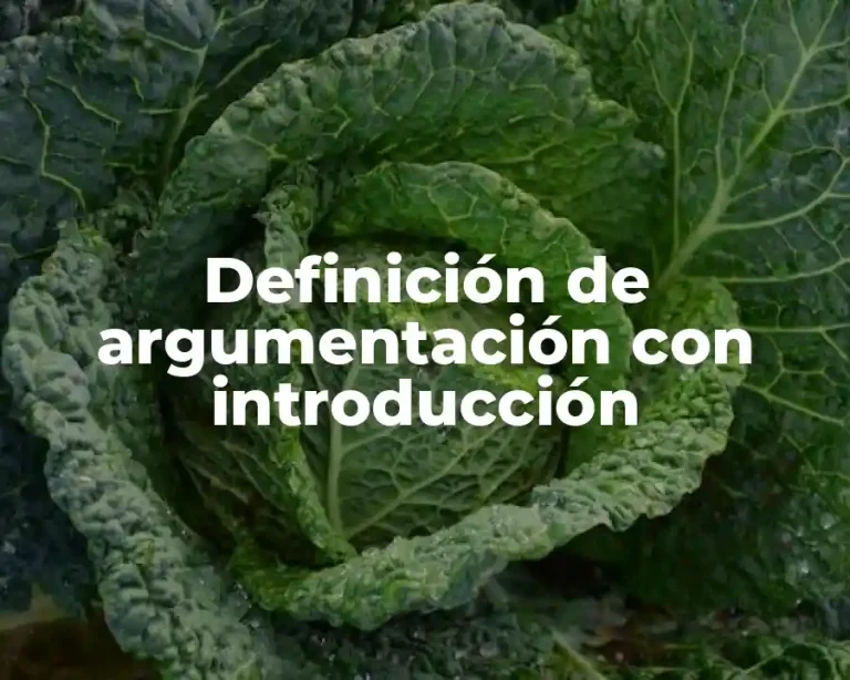 Definición de argumentación con introducción