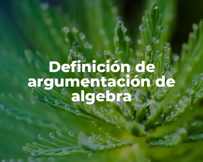 Definición de argumentación de algebra