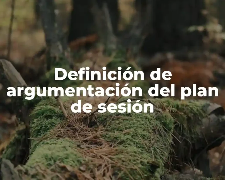 Definición de argumentación del plan de sesión