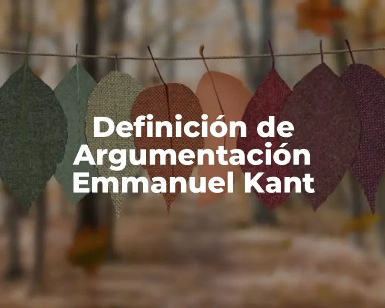 Definición de Argumentación Emmanuel Kant