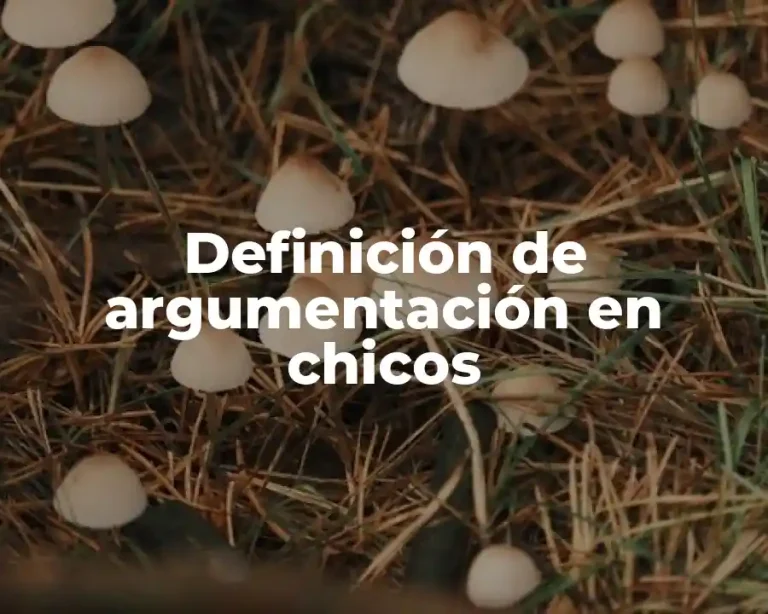 Definición de argumentación en chicos