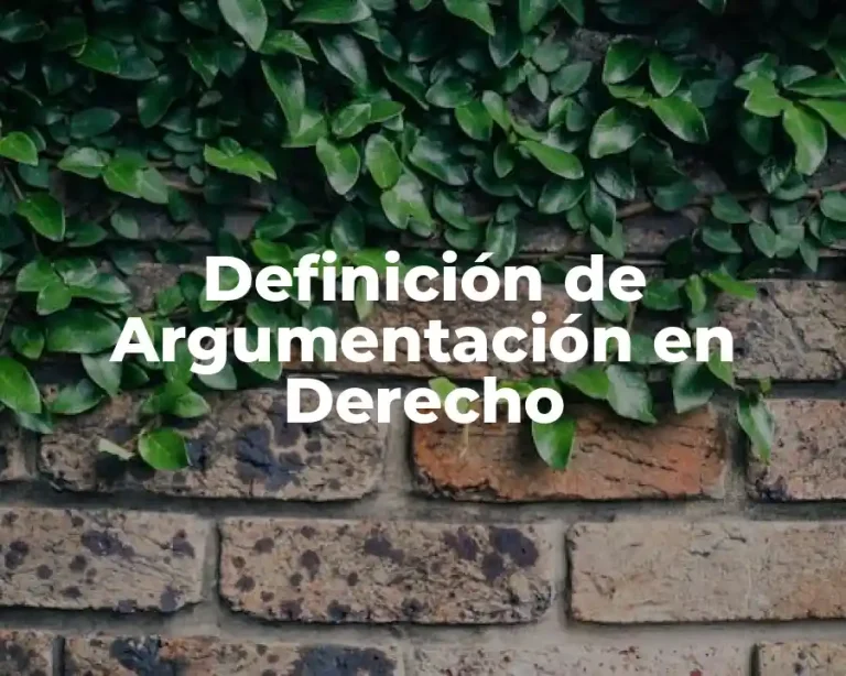 Definición de Argumentación en Derecho