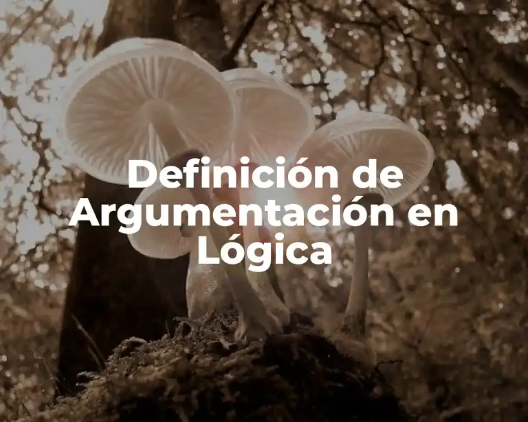 Definición de Argumentación en Lógica