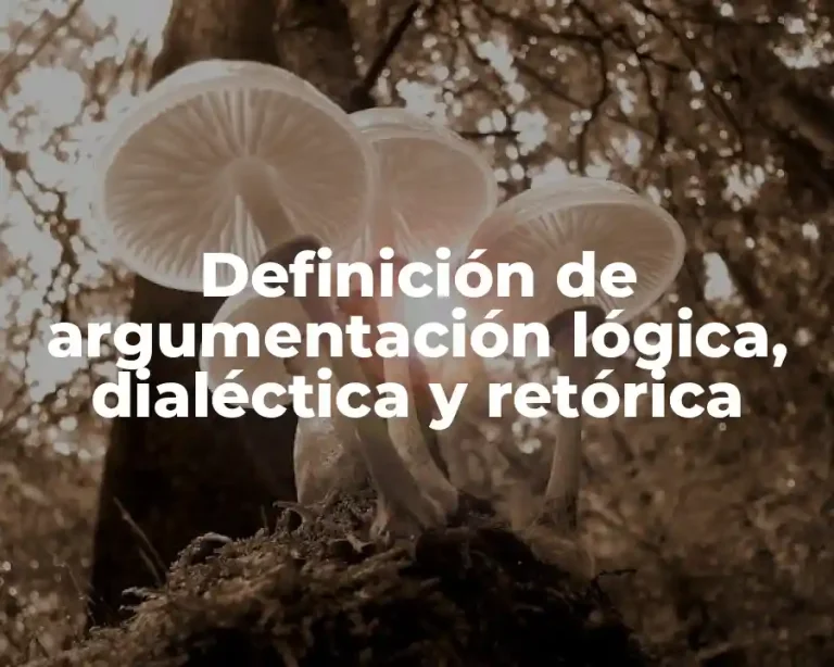 Definición de argumentación lógica, dialéctica y retórica