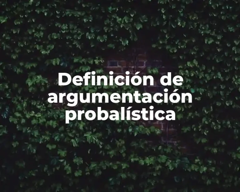 Definición de argumentación probalística