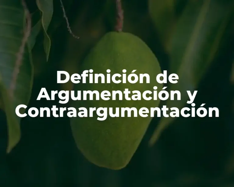 Definición de Argumentación y Contraargumentación