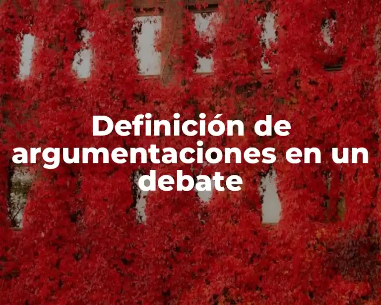 Definición de argumentaciones en un debate