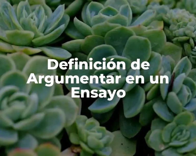 Definición de Argumentar en un Ensayo