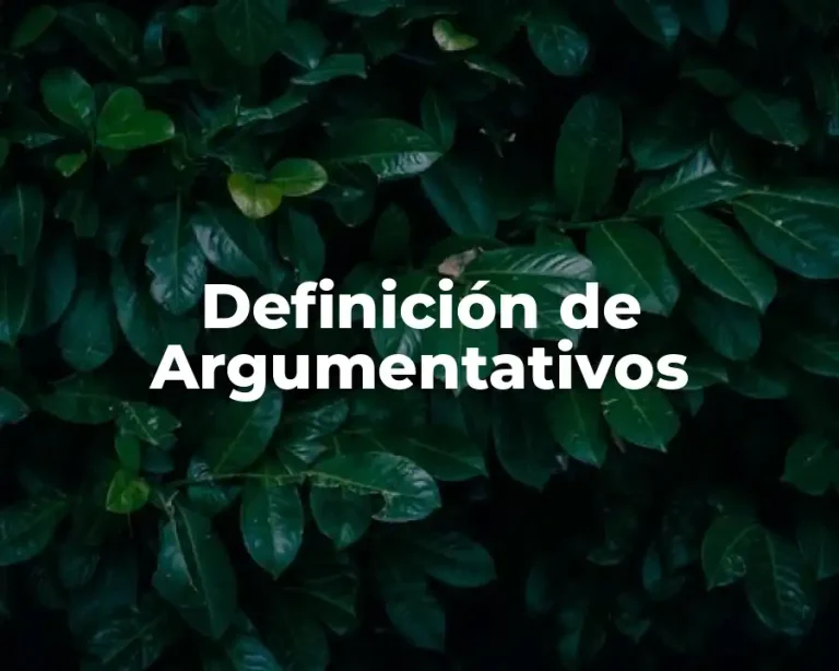 Definición de Argumentativos