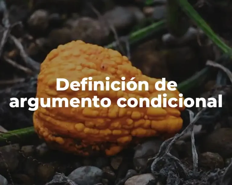 Definición de argumento condicional