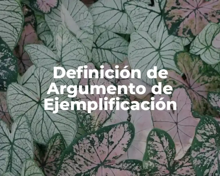 Definición de Argumento de Ejemplificación