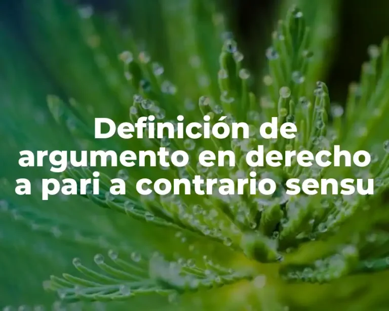 Definición de argumento en derecho a pari a contrario sensu