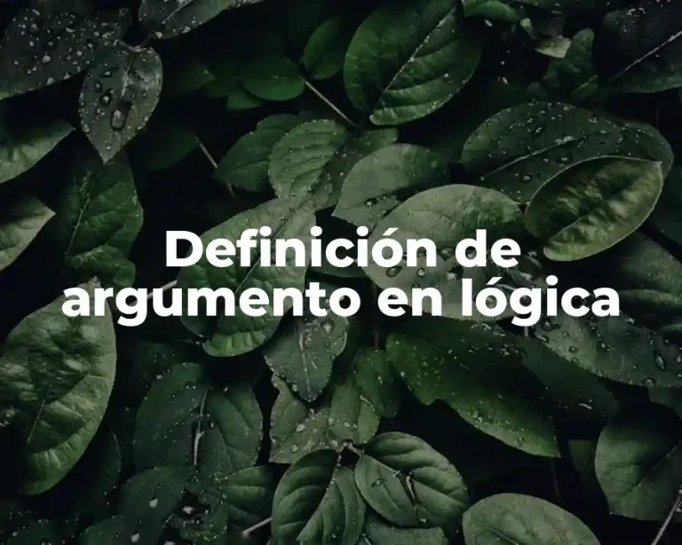 Definición de argumento en lógica
