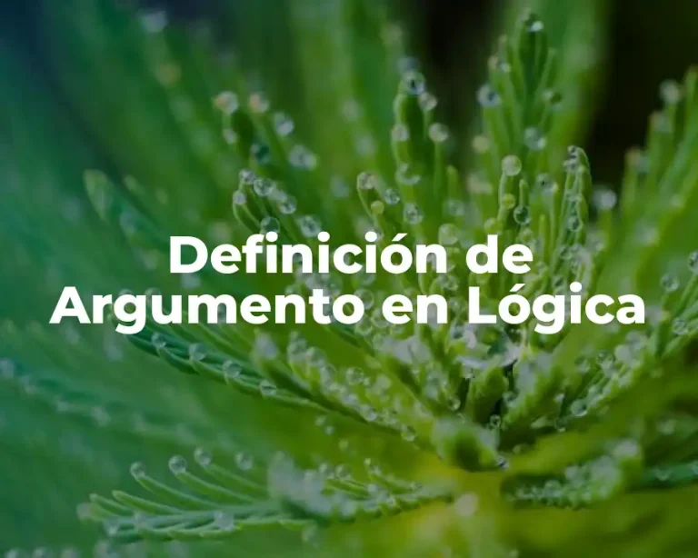 Definición de Argumento en Lógica