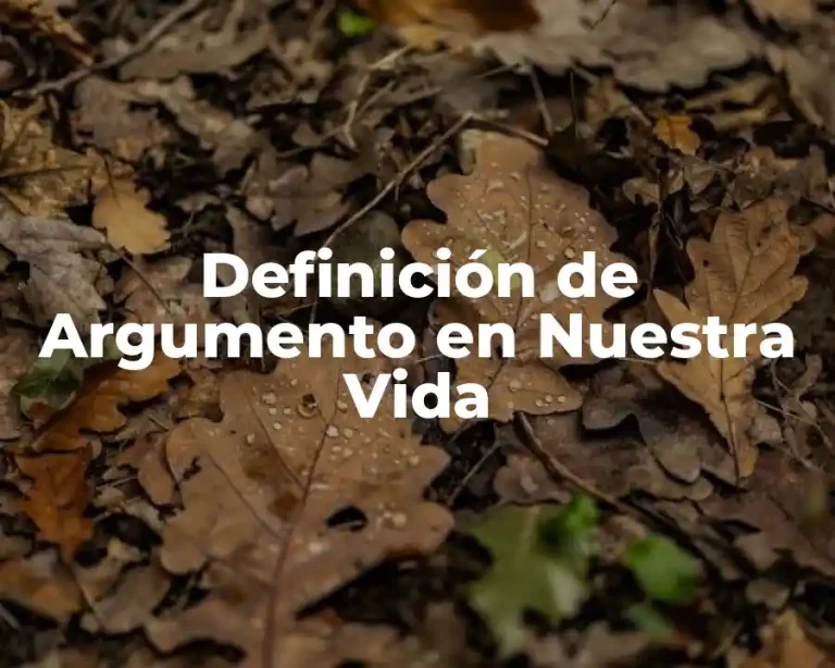 Definición de Argumento en Nuestra Vida