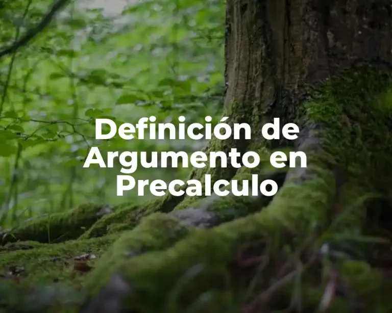 Definición de Argumento en Precalculo