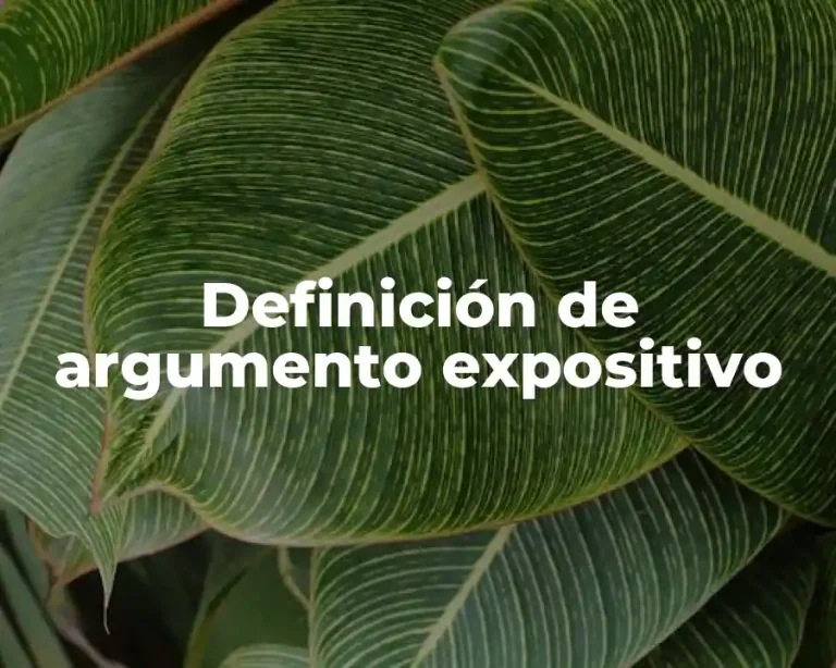 Definición de argumento expositivo