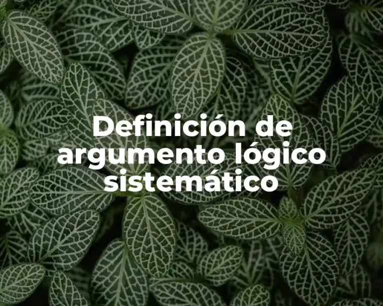 Definición de argumento lógico sistemático
