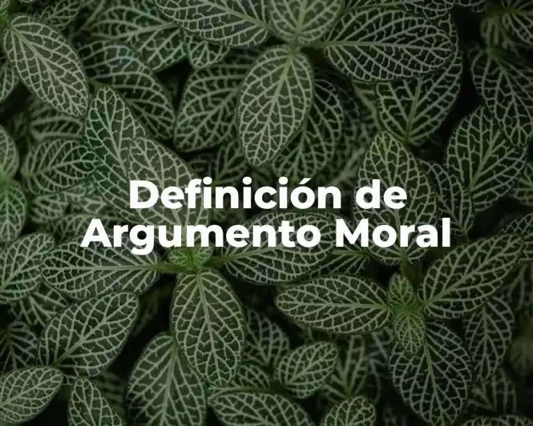 Definición de Argumento Moral