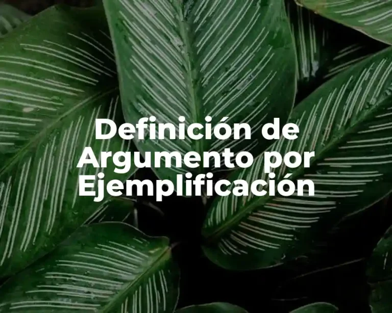 Definición de Argumento por Ejemplificación
