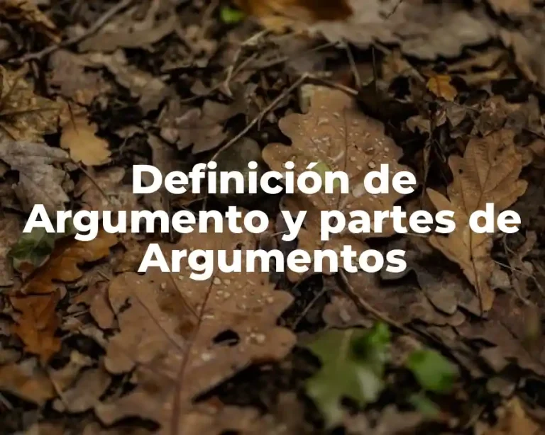 Definición de Argumento y partes de Argumentos