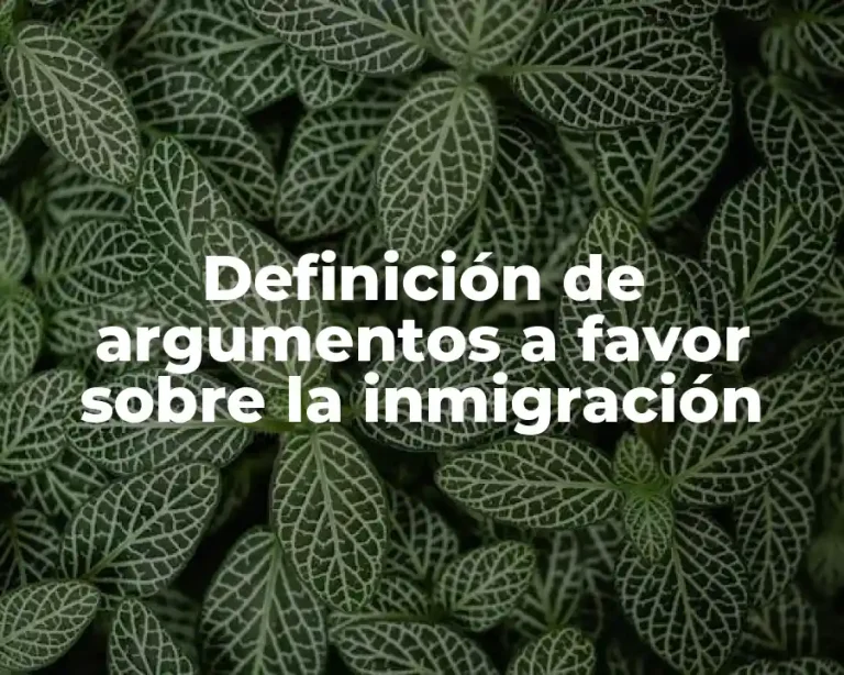 Definición de argumentos a favor sobre la inmigración