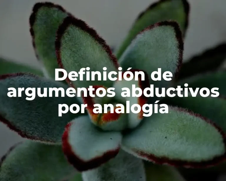 Definición de argumentos abductivos por analogía