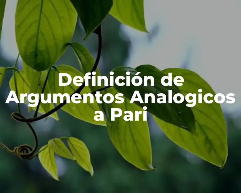 Definición de Argumentos Analogicos a Pari