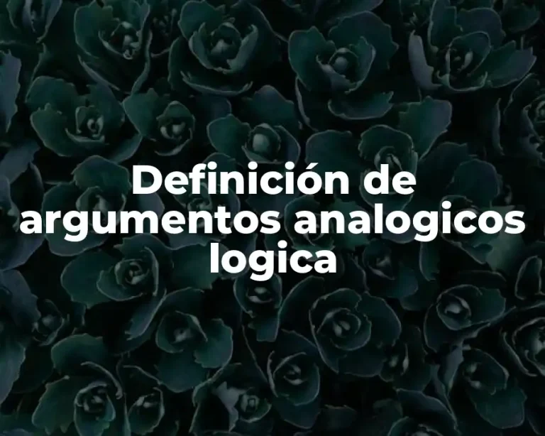 Definición de argumentos analogicos logica