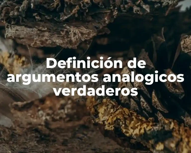 Definición de argumentos analogicos verdaderos