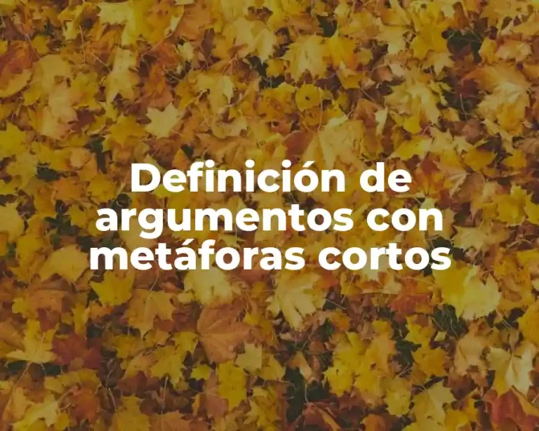 Definición de argumentos con metáforas cortos