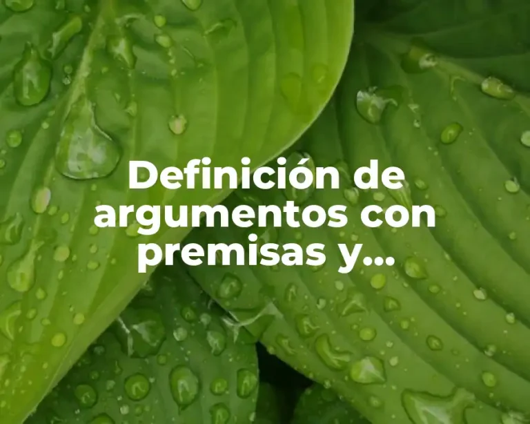 Definición de argumentos con premisas y conclusiones verdaderas