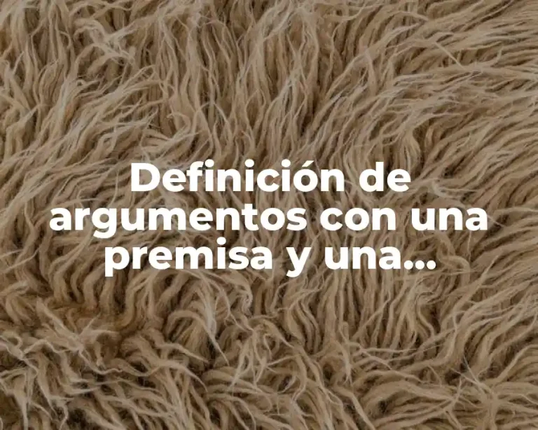 Definición de argumentos con una premisa y una conclusión