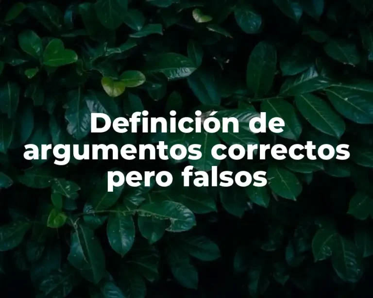 Definición de argumentos correctos pero falsos