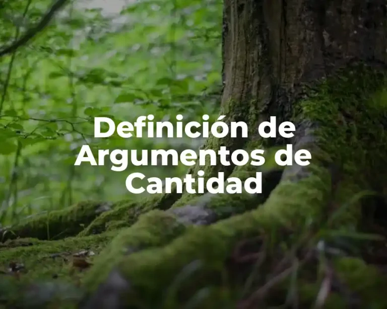 Definición de Argumentos de Cantidad