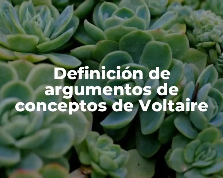 Definición de argumentos de conceptos de Voltaire