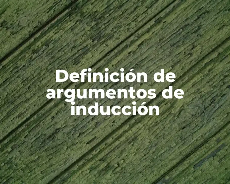 Definición de argumentos de inducción