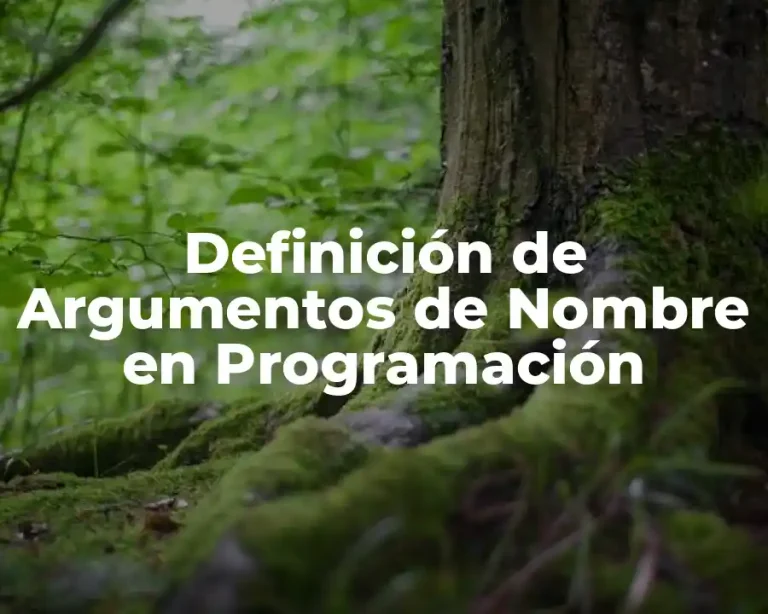 Definición de Argumentos de Nombre en Programación