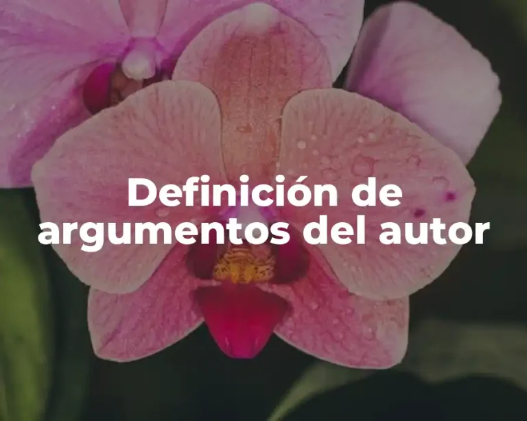 Definición de argumentos del autor