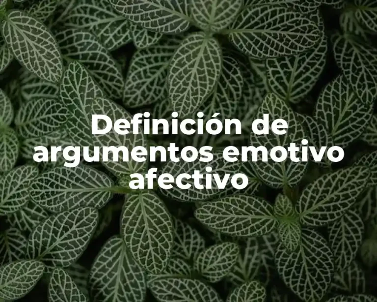 Definición de argumentos emotivo afectivo